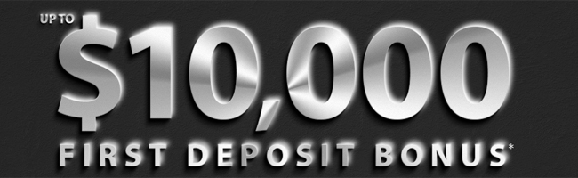 HY Options – Up to $10000 Binary Welcome Bonus
