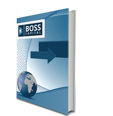 Binary eBook Series-Boss Capital