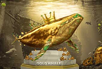 ForexChief – Gold Whale, Live Contest