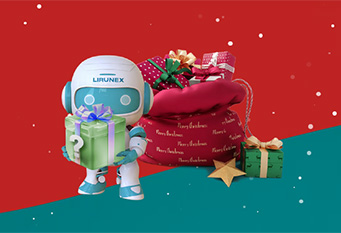 Lirunex – christmas Mystery Treasure Box